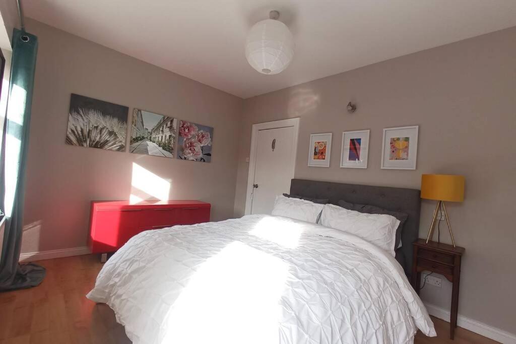 Argyle House, 10 Minute Walk From City Centre Derry Extérieur photo