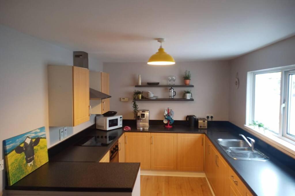 Argyle House, 10 Minute Walk From City Centre Derry Extérieur photo